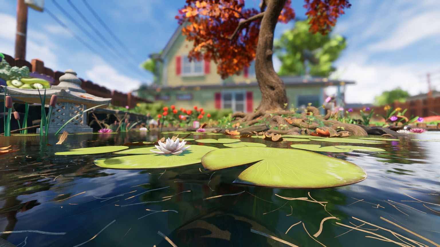 THE KOI POND