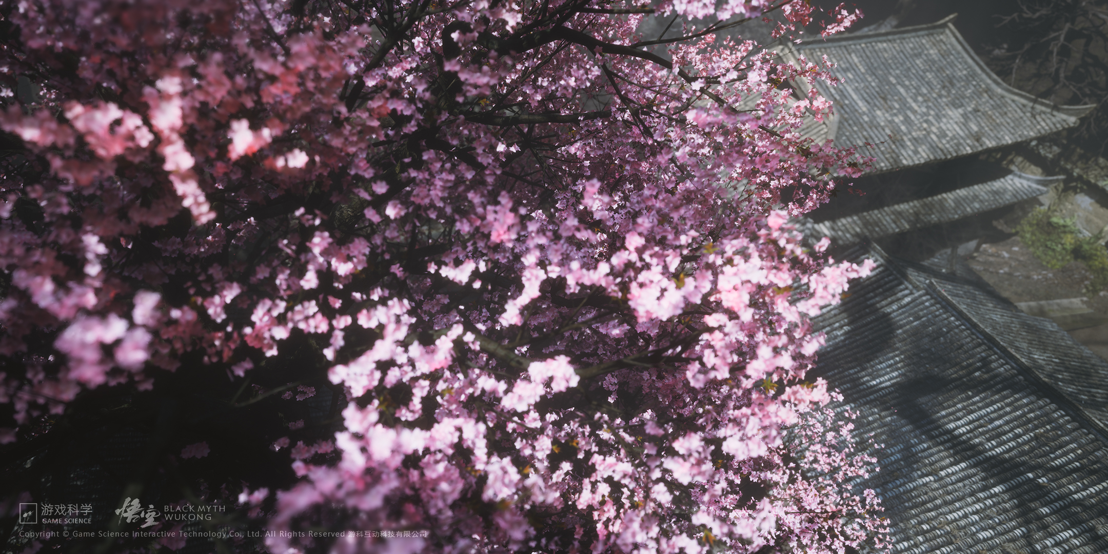 Wallpaper 