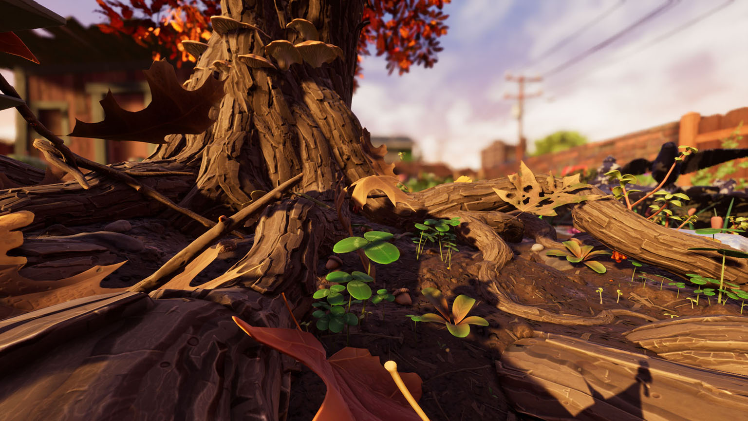 THE OAK TREE